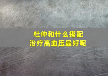 杜仲和什么搭配治疗高血压最好呢