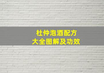 杜仲泡酒配方大全图解及功效