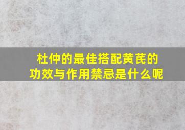 杜仲的最佳搭配黄芪的功效与作用禁忌是什么呢