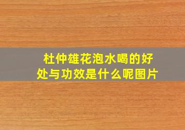 杜仲雄花泡水喝的好处与功效是什么呢图片