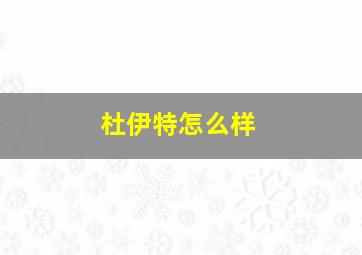 杜伊特怎么样