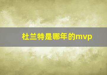 杜兰特是哪年的mvp