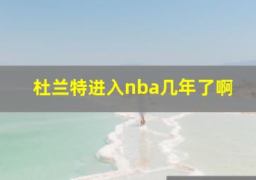 杜兰特进入nba几年了啊