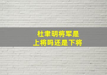 杜聿明将军是上将吗还是下将