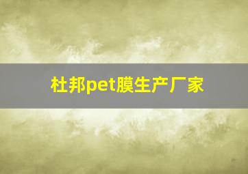 杜邦pet膜生产厂家