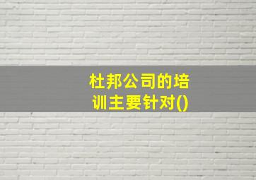 杜邦公司的培训主要针对()