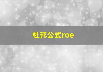 杜邦公式roe