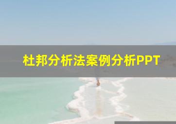 杜邦分析法案例分析PPT