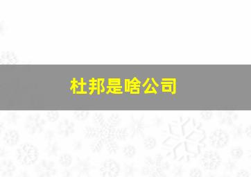 杜邦是啥公司