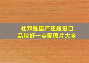 杜邦是国产还是进口品牌好一点呢图片大全