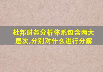 杜邦财务分析体系包含两大层次,分别对什么进行分解