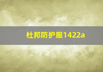 杜邦防护服1422a