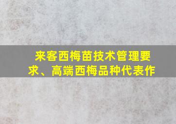 来客西梅苗技术管理要求、高端西梅品种代表作