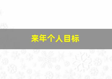 来年个人目标