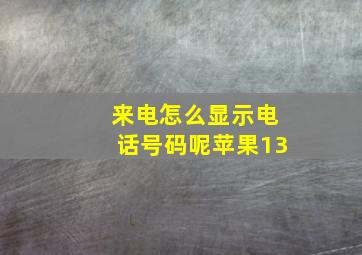 来电怎么显示电话号码呢苹果13