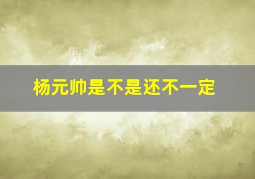 杨元帅是不是还不一定