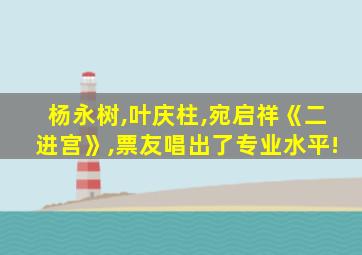 杨永树,叶庆柱,宛启祥《二进宫》,票友唱出了专业水平!