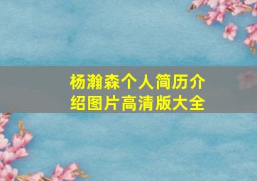 杨瀚森个人简历介绍图片高清版大全