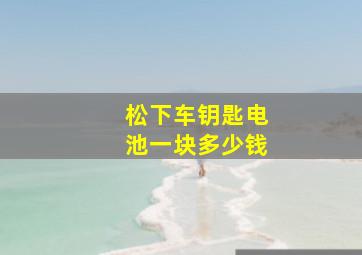 松下车钥匙电池一块多少钱