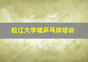 松江大学城乒乓球培训