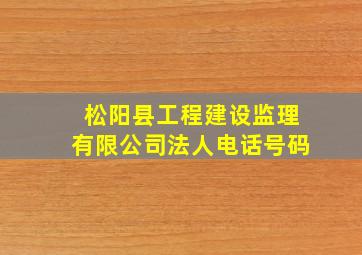 松阳县工程建设监理有限公司法人电话号码