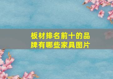 板材排名前十的品牌有哪些家具图片