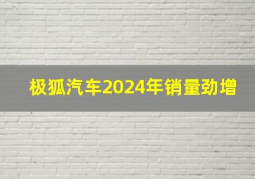 极狐汽车2024年销量劲增