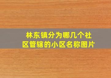 林东镇分为哪几个社区管辖的小区名称图片