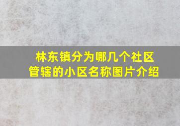 林东镇分为哪几个社区管辖的小区名称图片介绍