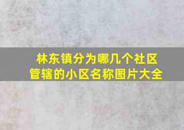 林东镇分为哪几个社区管辖的小区名称图片大全