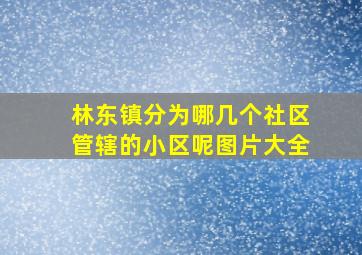 林东镇分为哪几个社区管辖的小区呢图片大全