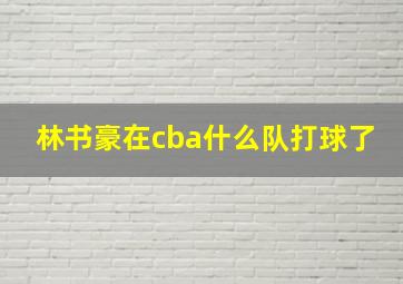 林书豪在cba什么队打球了