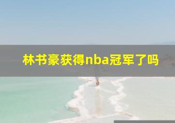 林书豪获得nba冠军了吗