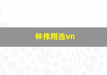 林伟翔选vn