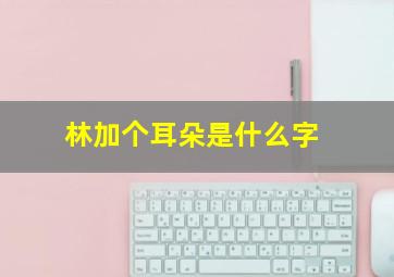 林加个耳朵是什么字