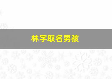 林字取名男孩