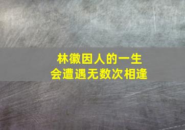 林徽因人的一生会遭遇无数次相逢