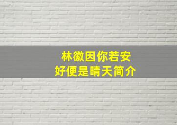 林徽因你若安好便是晴天简介