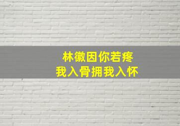 林徽因你若疼我入骨拥我入怀