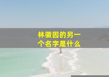 林徽因的另一个名字是什么