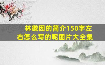 林徽因的简介150字左右怎么写的呢图片大全集