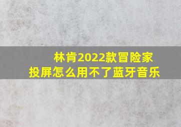 林肯2022款冒险家投屏怎么用不了蓝牙音乐