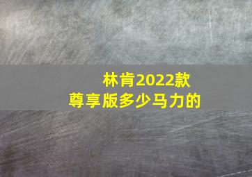 林肯2022款尊享版多少马力的