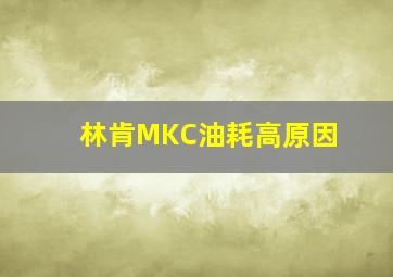 林肯MKC油耗高原因