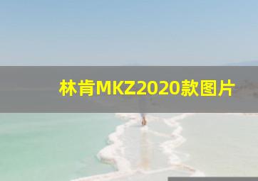 林肯MKZ2020款图片