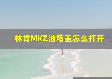 林肯MKZ油箱盖怎么打开