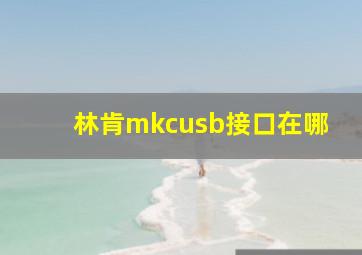 林肯mkcusb接口在哪