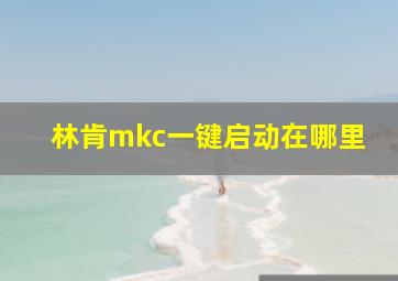 林肯mkc一键启动在哪里