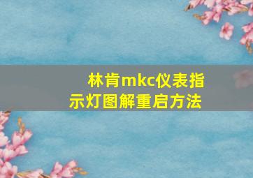 林肯mkc仪表指示灯图解重启方法