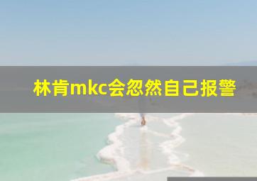 林肯mkc会忽然自己报警